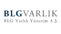 BLG VARLIK YÖNETİM A.Ş.